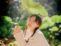 上海木向又贸易有限公司