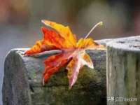 上海木向又贸易有限公司