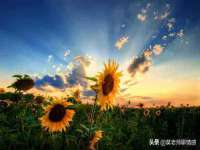 上海木向又贸易有限公司