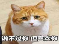 上海木向又贸易有限公司
