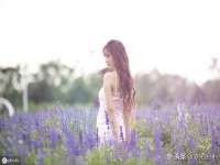 上海木向又贸易有限公司