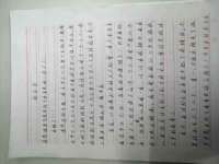 上海木向又贸易有限公司