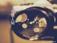 上海木向又贸易有限公司