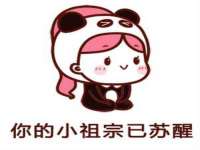 上海木向又贸易有限公司
