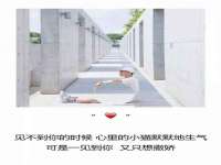 上海木向又贸易有限公司