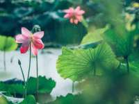 上海木向又贸易有限公司