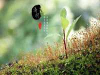 上海木向又贸易有限公司