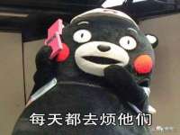上海木向又贸易有限公司