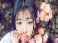 上海木向又贸易有限公司