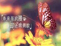 上海木向又贸易有限公司