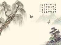 上海木向又贸易有限公司