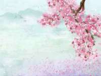 上海木向又贸易有限公司