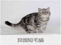 上海木向又贸易有限公司