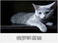 上海木向又贸易有限公司