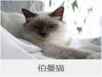 上海木向又贸易有限公司