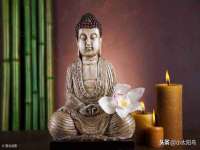 上海木向又贸易有限公司