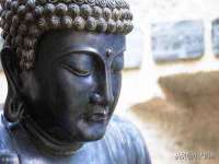上海木向又贸易有限公司