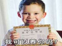 上海木向又贸易有限公司