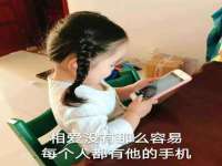 上海木向又贸易有限公司