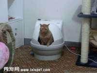 上海木向又贸易有限公司