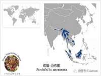 上海木向又贸易有限公司