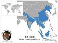 上海木向又贸易有限公司