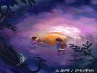 上海木向又贸易有限公司