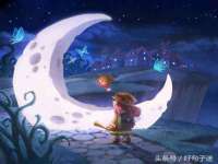 上海木向又贸易有限公司