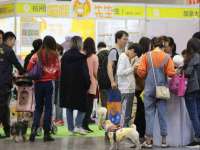 上海木向又贸易有限公司