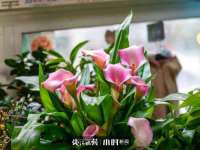 上海木向又贸易有限公司