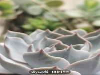 上海木向又贸易有限公司