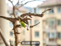 上海木向又贸易有限公司