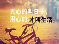 上海木向又贸易有限公司
