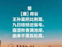 上海木向又贸易有限公司