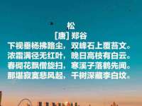 上海木向又贸易有限公司