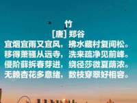 上海木向又贸易有限公司