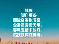 上海木向又贸易有限公司