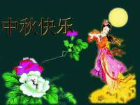 上海木向又贸易有限公司