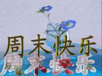 上海木向又贸易有限公司