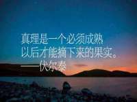 上海木向又贸易有限公司