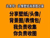 上海木向又贸易有限公司