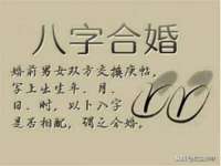 上海木向又贸易有限公司