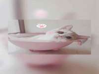 上海木向又贸易有限公司