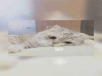 上海木向又贸易有限公司