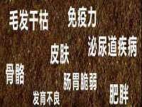 上海木向又贸易有限公司