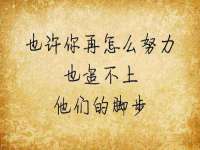 上海木向又贸易有限公司