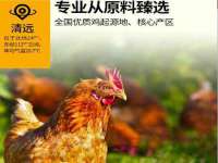 上海木向又贸易有限公司