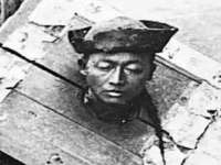 上海木向又贸易有限公司