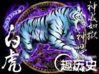 上海木向又贸易有限公司