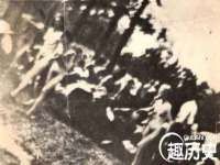 上海木向又贸易有限公司
